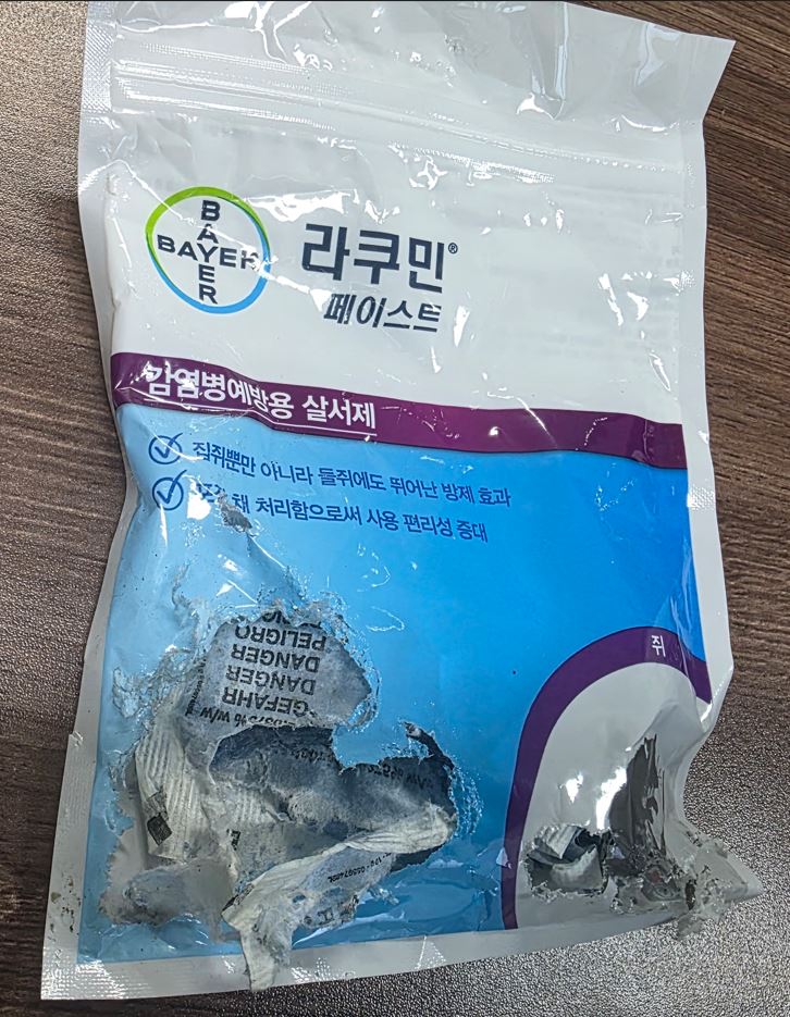 성질 약간 급한 쥐