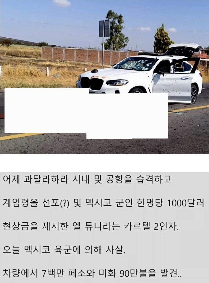 계엄령 선포했던 멕시코 카르텔 2인자였던것...