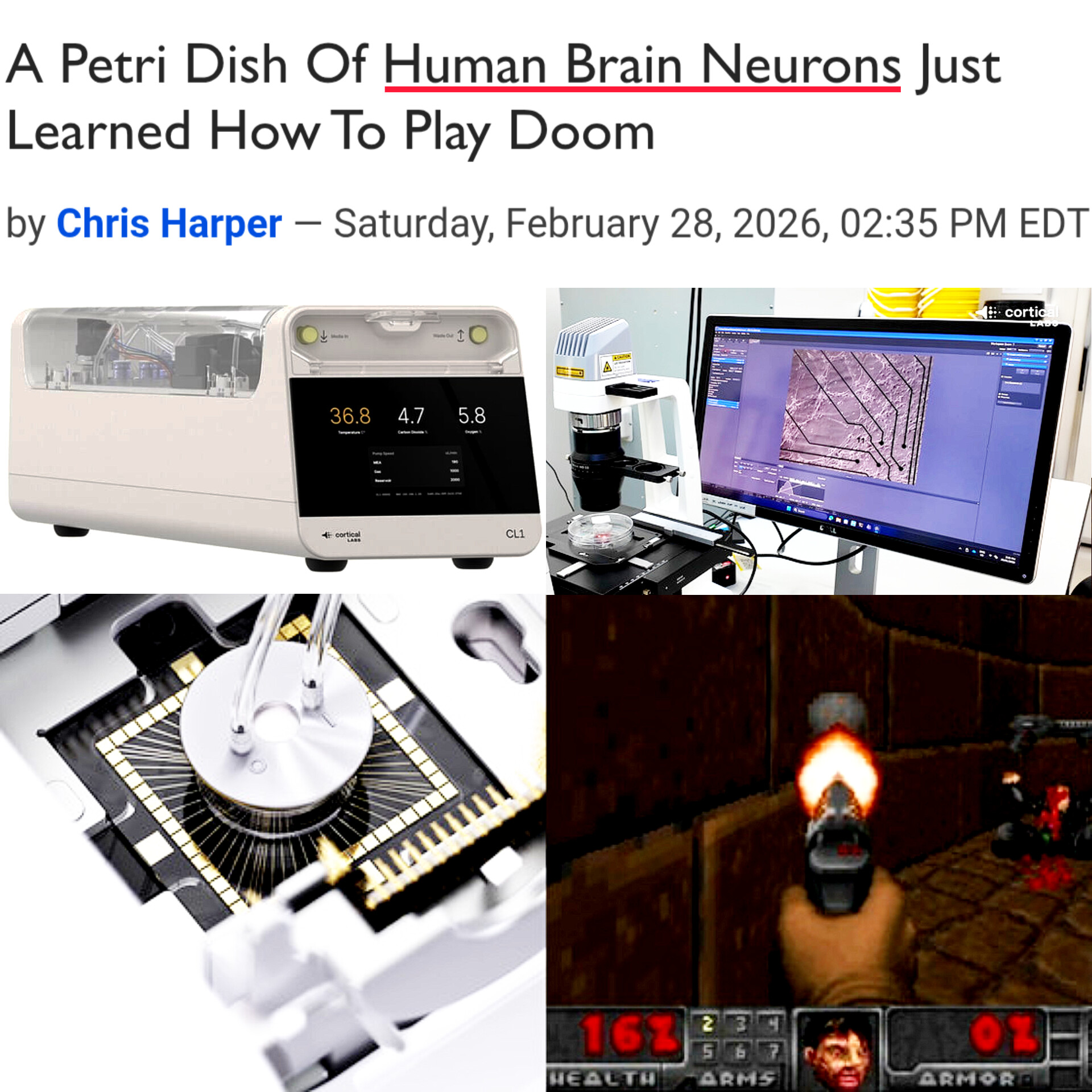 인간 뇌세포로 만든 컴퓨터로 한 일