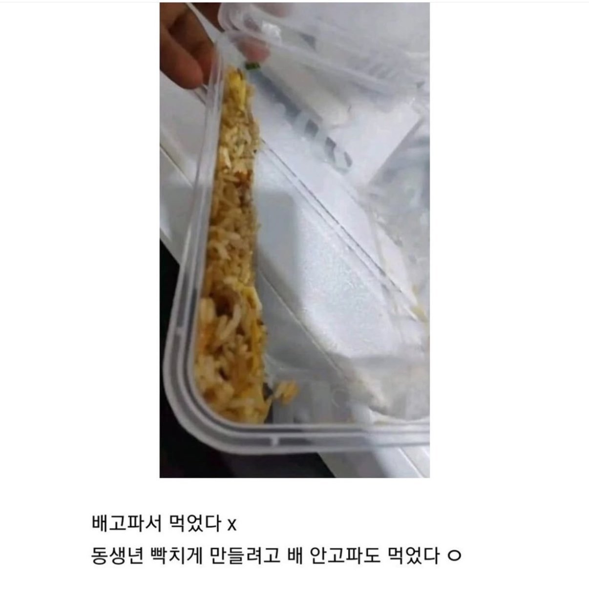 볶음밥 훔쳐먹은 오빠의 치밀함