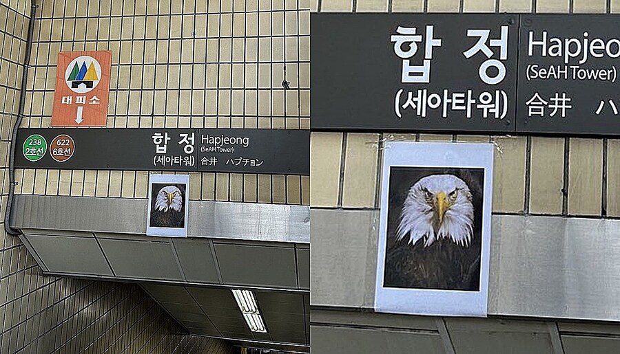 합정역 비둘기 대책
