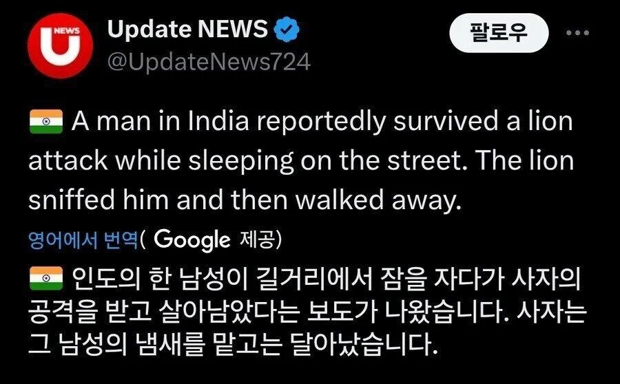 인도 노숙자 습격한 사자