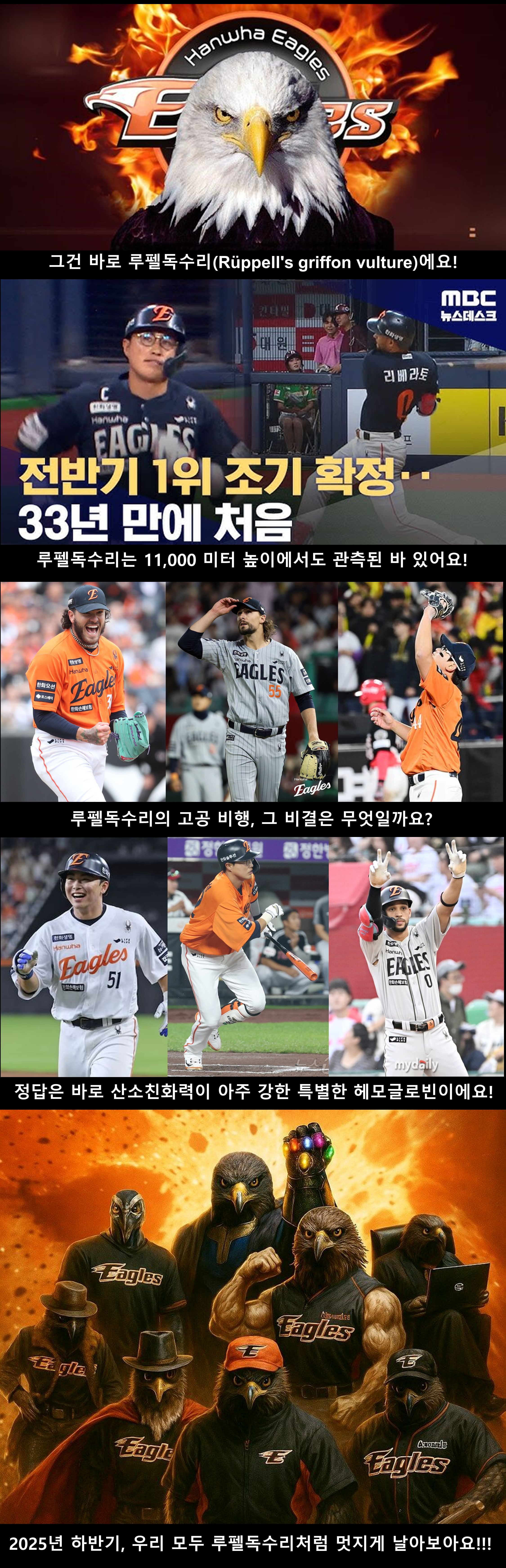 가장 높이 나는 새는?