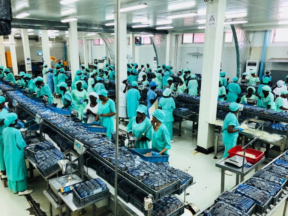 한국식 기업운영이 세네갈 에서 통할까?