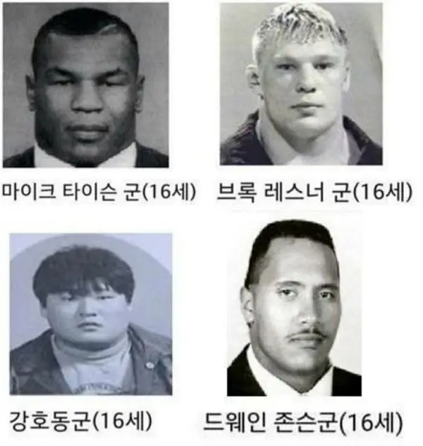 [원피스] 일관적이지 못한 괴물의 기준