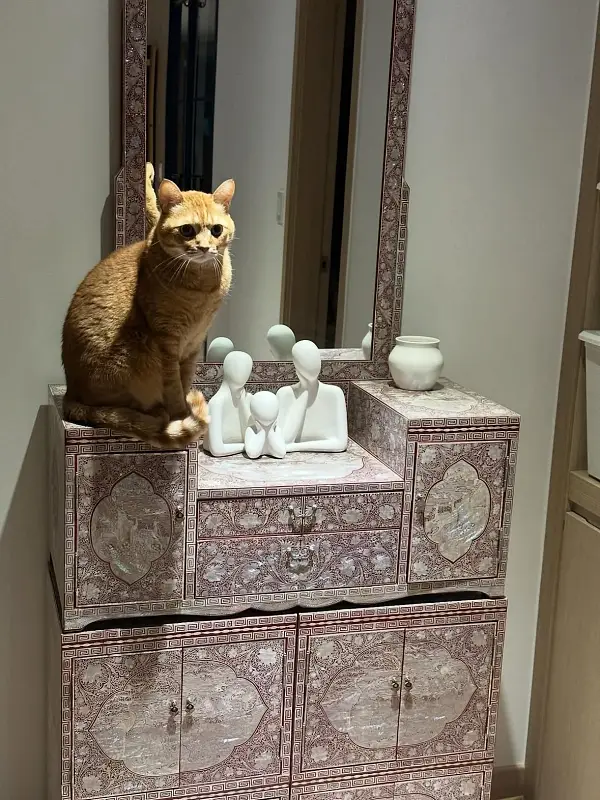 시어머니가 물려주신 자개장