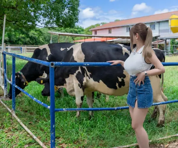 일본에도 있다는 동탄룩