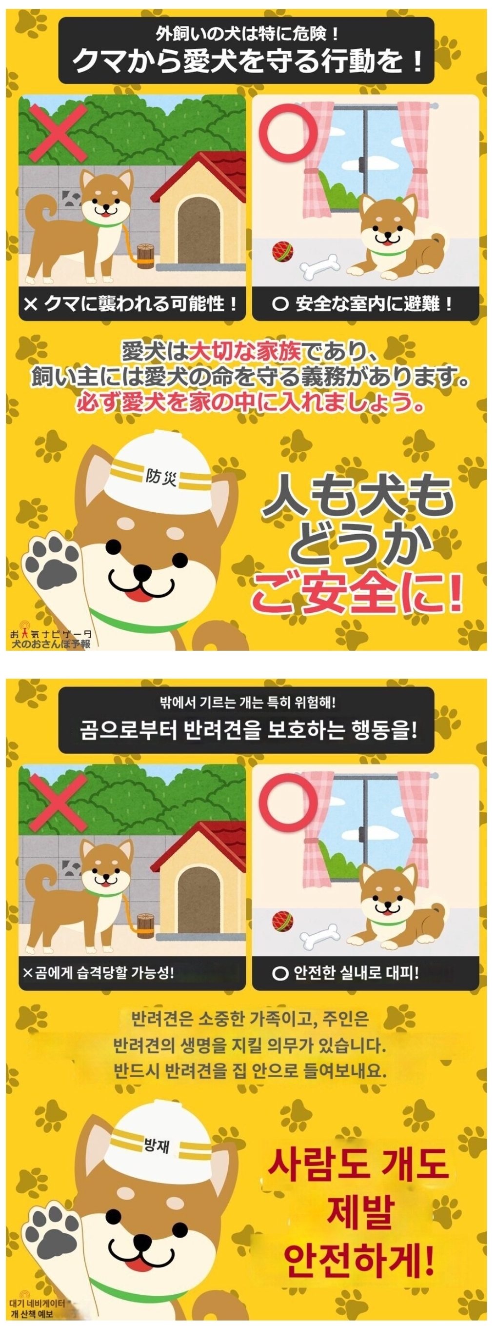 개는 제발 집안에서 키우세요!!